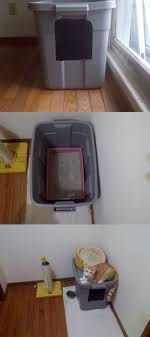 Caixa De Areia Grande Para Gatos Find And Save Ideas About Homemade Cat Toys On Pinterest See More Ideas About Diy Cat Toys Kitten Toys Caixa De Areia Gato Caixa De Areia Moveis Para Gatos