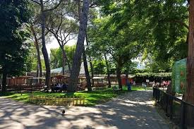 Dopo tanti anni lo zoo di napoli torna a mostrarsi alla città di napoli in una veste rinnovata con oltre 400 animali presenti al suo interno. Lo Zoo Di Napoli Lo Zoo Di Napoli Groupon