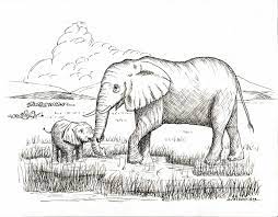 Mother And Baby Elephant Drawing Print Etsy Elephant Drawing Baby Elephant Drawing Baby Drawing