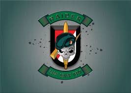 Man beside car digital wallpaper, digital art, futuristic city. Raiders Logo Angkatan Darat Penembak Jitu Militer