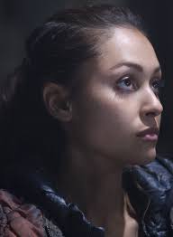 The 100 Season Two Episode Summaries : Grounders Source