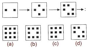 Mensa Test 5