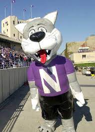 Willie The Wildcat Northwestern University Athletics Wild Cats Northwestern War Eagle
