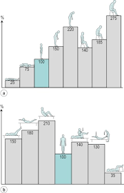 the lumbar spine musculoskeletal key