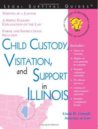 Illinois makes this easy by allowing you to make the request in your petition for divorce. Child Custody Visitation And Support In Illinois Legal Survival Guides Connel 9781572482449 Amazon Com Books