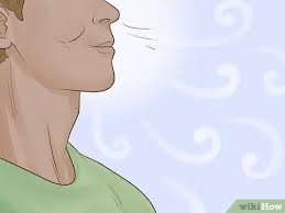 3 Ways To Pretend To Be An Assassin - Wikihow Fun