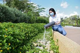 They are a source of potassium and many trace elements and can be used to balance acidic soil conditions. Singapore To Open First Inland Ash Scattering Garden In Choa Chu Kang On May 17 Community News Top Stories The Straits Times