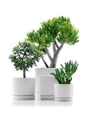 Minimalistic Black And White Flowerpots From Bodum And Sportmax Flower Pots Flower Pot Design Plants
