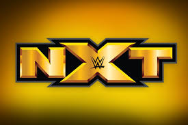 Wwe don't partake in the same old spring cleaning routine they used to these days, and there's more scope than ever for older workers to have a place in this context then, the phrase leave wwe doesn't necessarily mean cut ties with the company completely, although there are those who surely. Wwe Superstar Shake Up Main Roster Stars Who Must Go To Nxt After Wrestlemania Bleacher Report Latest News Videos And Highlights