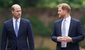 Prince William 'burning' with anger over Harry's 'cruel' claims but will  not 'retaliate'