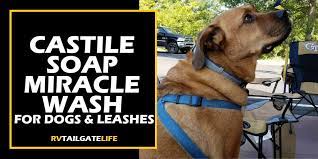 Castile Soap Miracle Wash For Dogs Leashes Rv Tailgate Life