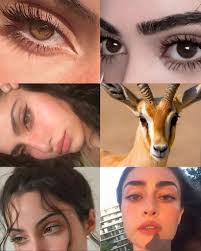 𝑽 𝒊 𝒐 𝒍 𝒊 𝒏 𝒊 𝒔 𝒕 𝒂