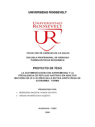 Mendizabal Baldeon Yajaira Socorro