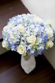 Check spelling or type a new query. Hydrangeas Hydrangea Bouquet Wedding Blue Wedding Bouquet Hydrangeas Wedding