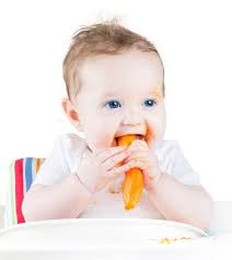 Is zucchini good for baby. 5 Quick And Easy Zucchini Courgette Recipes For Babies