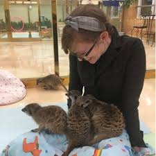 Maybe you would like to learn more about one of these? Emily Rand Leagueofemily Twitter