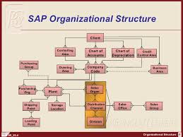 Sap Fi Organization Structure Http Sapdocs Info