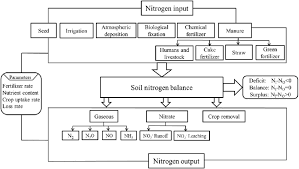Flowchart Of Nitrogen Cycle And Balance In Chinas Croplands