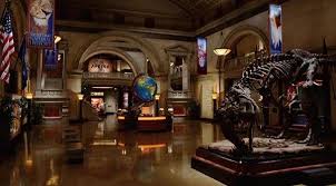 Night At The Museum Night At The Museum Museum Night