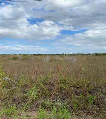 Environmental Assessment for the Transfer of Federal Grant Encumbrance to  Facilitate the Expansion of Southwest 157th Avenue