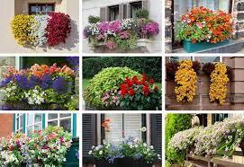 Maintenance, soil, and watering certainly depend on the plants you choose, but there are a few good general rules of thumb. 40 Window And Balcony Flower Box Ideas Photos Home Stratosphere