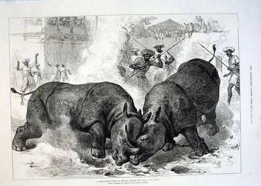 9 The prince of wales visit to india 1875 1876, The illustrated london news 1875 Images: PICRYL - Public Domain Media Search Engine Public Domain Search