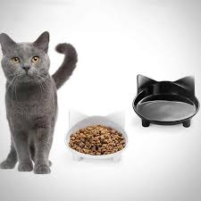 901 results for cat food dish. Pet Food Dishes Dog Dishes Folding Travel Dog Bowls Super Petstore Super Pet Store