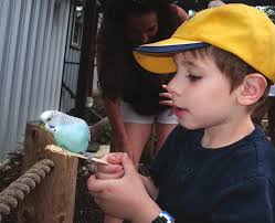 Financing Child Care for College Student Success