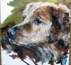 And saturdays and sundays, from 11:00 a.m. Boulder Humane Society Archives The Boulder Cork