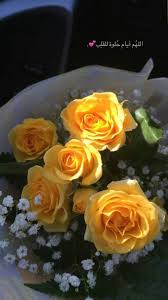 Pin By Linahadil On Arabe Cute Love Images Flower Graphic Design Iphone Wallpaper Yellow