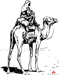 Camel face camel camel cart drawing camels drawing camels black white png. Camel Clipart 70 Cliparts