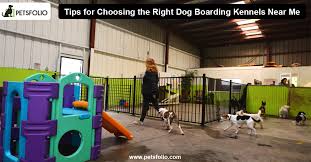 The fast, easy & safe way to find cat & dog boarding, kennels, doggy daycares & pet hotels. Pet Kennels Near Me Cheaper Than Retail Price Buy Clothing Accessories And Lifestyle Products For Women Men
