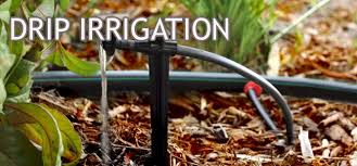 While there have certainly been changes through the years, there has never been a change to our commitment to offer new and. Hunter Sprinkler Superstore Lawn Sprinkler System Parts Lake Pump Filters Landscape Lighting