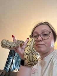 Update: FOUND HOME Anyone want a snake? My mom doesn't do anything with her