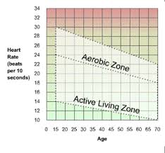 Cardio Trek Toronto Personal Trainer Heart Rate Targeting