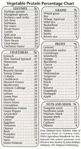 Its Easy To Get Your Protein List Of Vegetables Fruits