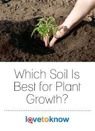 Which Soil Is Best For Plant Growth Lovetoknow Plants Plant Growth Soil