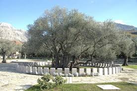 Service Unavailable Ulcinj Tree Monument