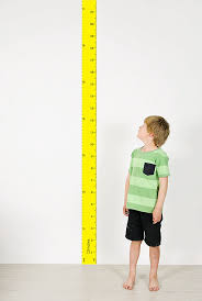 Wall Ruler Height Chart Yellow R