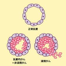 銀座みやこクリニック