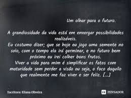 Um Olhar Para O Futuro A Escritora Eliana Oliveira