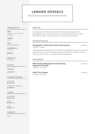 Cv Voorbeeld Pedagogisch Medewerker Kinderopvang Perfect Cv