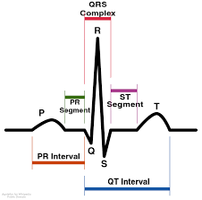 Image result for Electrocardiogram