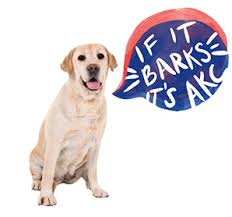 Strengthens your dog's behaviors to provide faster & more consistent responses & helps improve reliability. American Kennel Club