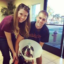 They will not provide overnight care, and generally require outpatient. San Diego Best Low Cost Affordable Spay Neuter Clinic San Diego Affordable Spay Neuter Clinic Low Cost Veterinarian Escondido
