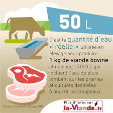 Cependant, en france, la plupart des régions bénéficient d'une eau du robinet de qualité, que l'on peut boire sans crainte. Consommation D Eau Et Production De Viande Bovine Environnement Ethique La Viande Fr