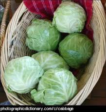 Plants like caladiums and creeping jenny will thrive in the shade, and they'll also add great color and movement to your planters. Plants That Start With C
