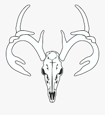 elk vector european mount gambar tengkorak kepala rusa free transparent clipart clipartkey elk vector european mount gambar