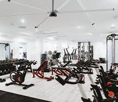 Mammoth fans has the perfect solution for your project. China Pmsm Big Ceiling Fans Manufacturers And Factory Best Price Pmsm Big Ceiling Fans For Sale Optimal Machinery