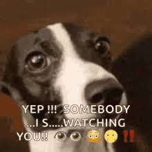 Watching Me Gifs Tenor